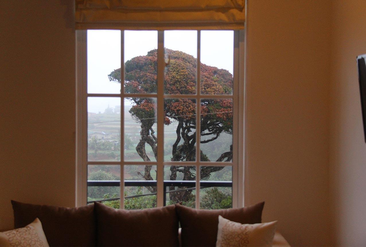 Tranquil Villa Nuwara Eliya Extérieur photo